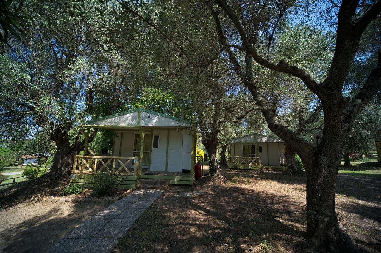 Villaggio Turistico Camping Il Fontino Scarlino Exterior photo